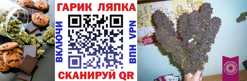 наркота  Ногинск  Canna-Cookies конопля 