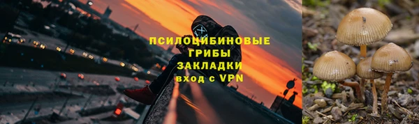 гидропоника Козельск