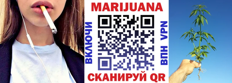 дарнет шоп  Ногинск  Каннабис сатива 